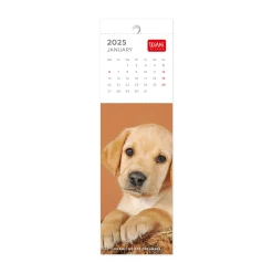 Legami Lesezeichen-Kalender*Lesezeichen-Kalender 2025 - 5,5 x 18 cm