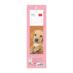 Legami Lesezeichen-Kalender*Lesezeichen-Kalender 2025 - 5,5 x 18 cm