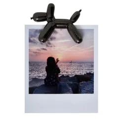 Legami Fotohalter Und Fotoalbum*Magnetischer Fotohalter - Lucky