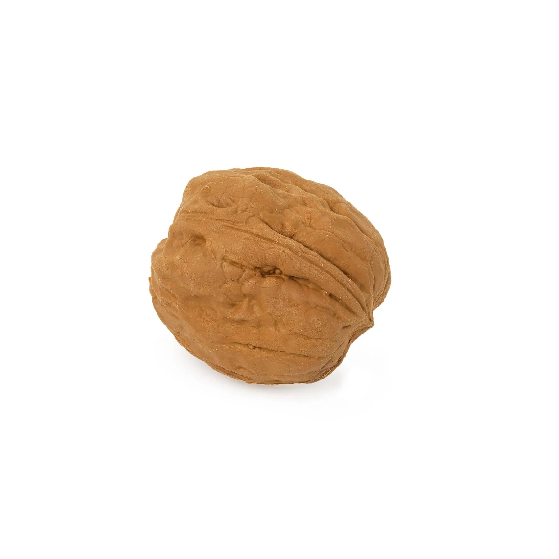 Legami Radiergummis Und Korrekturroller*Maxi-Radiergummi - Walnut Eraser