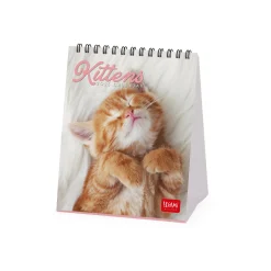 Legami Tischkalender*Tischkalender 2025 - 12 x 14,5 cm