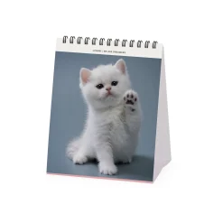 Legami Tischkalender*Tischkalender 2025 - 12 x 14,5 cm