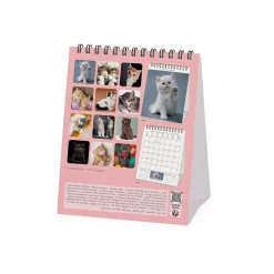 Legami Tischkalender*Tischkalender 2025 - 12 x 14,5 cm