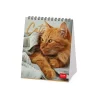 Legami Tischkalender*Tischkalender 2025 - 12 x 14,5 cm