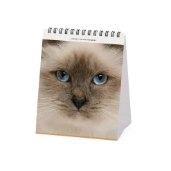 Legami Tischkalender*Tischkalender 2025 - 12 x 14,5 cm