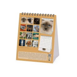Legami Tischkalender*Tischkalender 2025 - 12 x 14,5 cm
