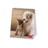 Legami Tischkalender*Tischkalender 2025 - 12 x 14,5 cm