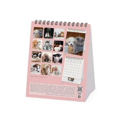 Legami Tischkalender*Tischkalender 2025 - 12 x 14,5 cm
