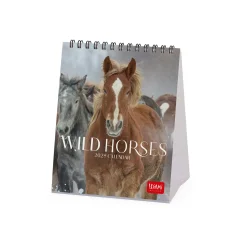Legami Tischkalender*Tischkalender 2025 - 12 x 14,5 cm