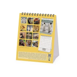 Legami Tischkalender*Tischkalender 2025 - 12 x 14,5 cm
