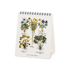 Legami Tischkalender*Tischkalender 2025 - 12 x 14,5 cm