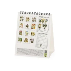 Legami Tischkalender*Tischkalender 2025 - 12 x 14,5 cm