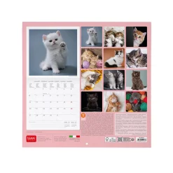 Legami Wandkalender*Wandkalender 2025 - 30 x 29 cm