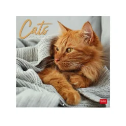 Legami Wandkalender*Wandkalender 2025 - 30 x 29 cm