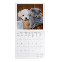 Legami Wandkalender*Wandkalender 2025 - 30 x 29 cm