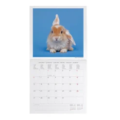 Legami Wandkalender*Wandkalender 2025 - 30 x 29 cm