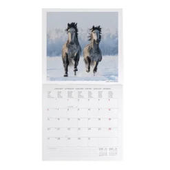 Legami Wandkalender*Wandkalender 2025 - 30 x 29 cm