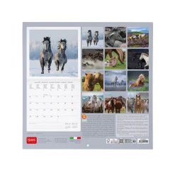 Legami Wandkalender*Wandkalender 2025 - 30 x 29 cm