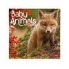 Legami Wandkalender*Wandkalender 2025 - 30 x 29 cm