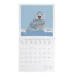 Legami Wandkalender*Wandkalender 2025 - 30 x 29 cm