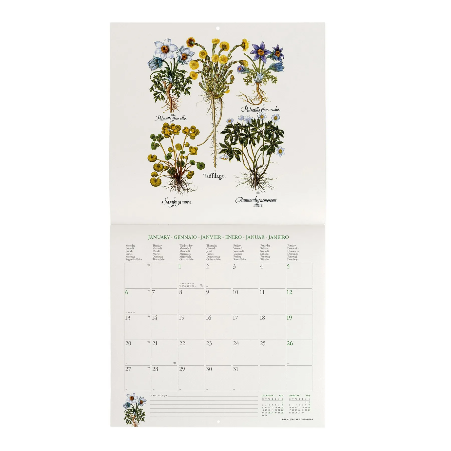 Legami Wandkalender*Wandkalender 2025 - 30 x 29 cm