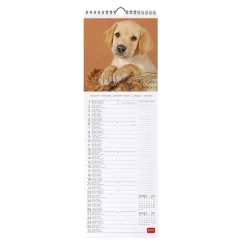 Legami Wandkalender*Wandkalender 2025 - 16 x 49 cm