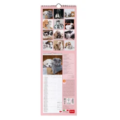 Legami Wandkalender*Wandkalender 2025 - 16 x 49 cm
