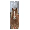 Legami Wandkalender*Wandkalender 2025 - 16 x 49 cm