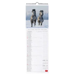 Legami Wandkalender*Wandkalender 2025 - 16 x 49 cm