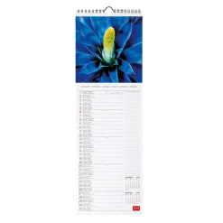 Legami Wandkalender*Wandkalender 2025 - 16 x 49 cm