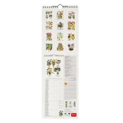 Legami Wandkalender*Wandkalender 2025 - 16 x 49 cm