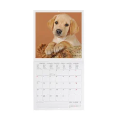 Legami Wandkalender*Wandkalender 2025 - 18 x 18 cm