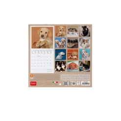 Legami Wandkalender*Wandkalender 2025 - 18 x 18 cm