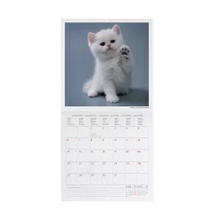 Legami Wandkalender*Wandkalender 2025 - 18 x 18 cm