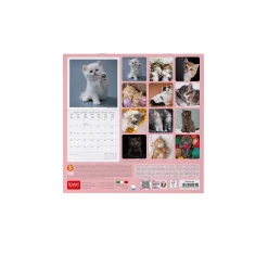 Legami Wandkalender*Wandkalender 2025 - 18 x 18 cm