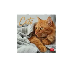 Legami Wandkalender*Wandkalender 2025 - 18 x 18 cm