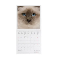 Legami Wandkalender*Wandkalender 2025 - 18 x 18 cm