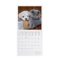 Legami Wandkalender*Wandkalender 2025 - 18 x 18 cm
