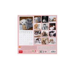 Legami Wandkalender*Wandkalender 2025 - 18 x 18 cm