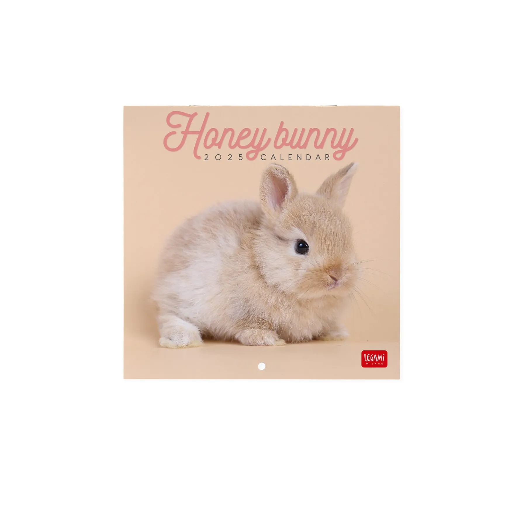 Legami Wandkalender*Wandkalender 2025 - 18 x 18 cm