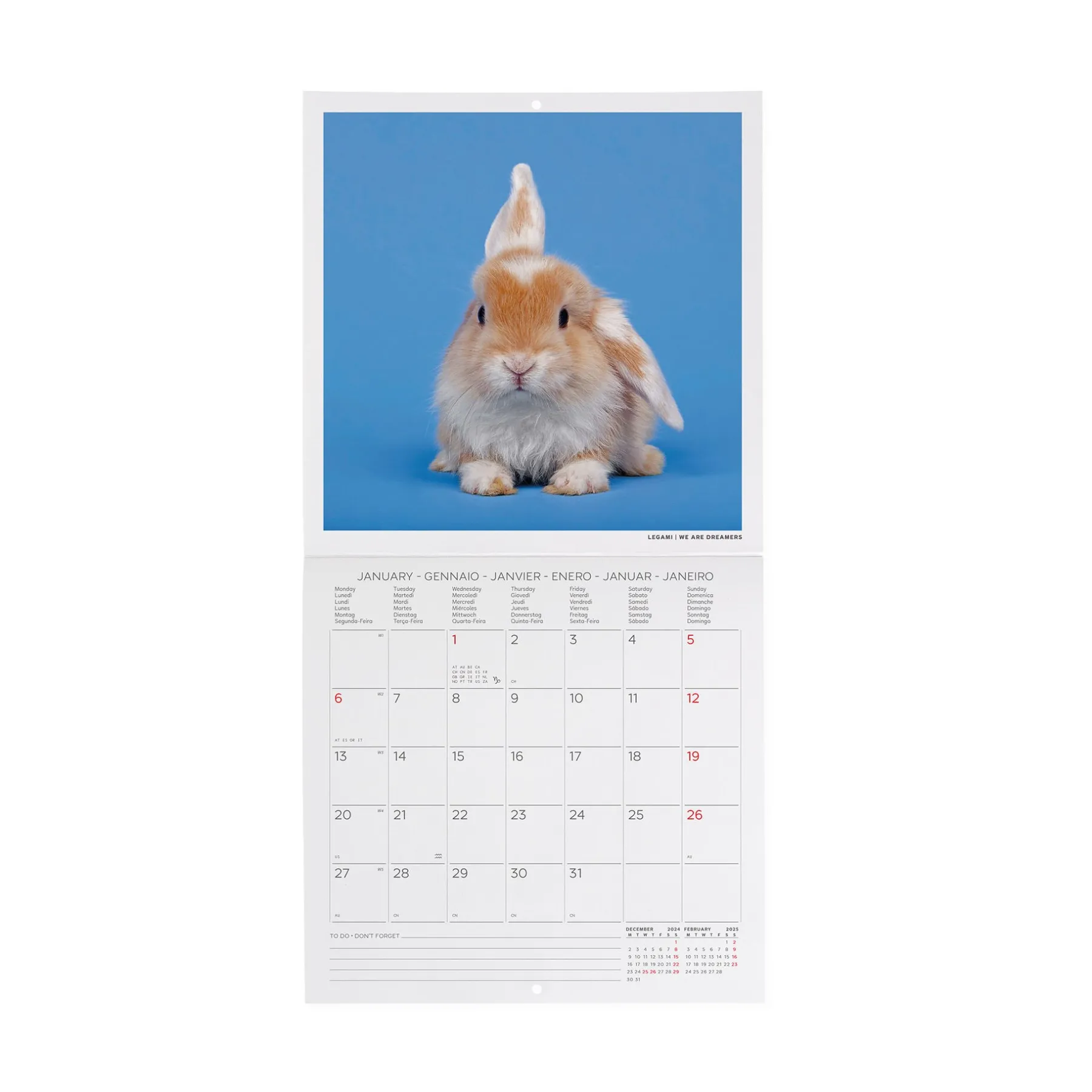 Legami Wandkalender*Wandkalender 2025 - 18 x 18 cm