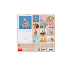 Legami Wandkalender*Wandkalender 2025 - 18 x 18 cm