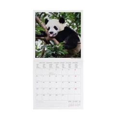 Legami Wandkalender*Wandkalender 2025 - 18 x 18 cm