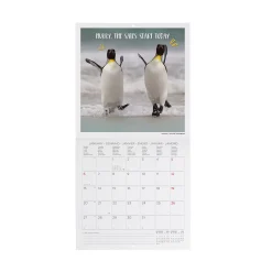 Legami Wandkalender*Wandkalender 2025 - 18 x 18 cm