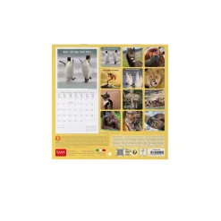 Legami Wandkalender*Wandkalender 2025 - 18 x 18 cm